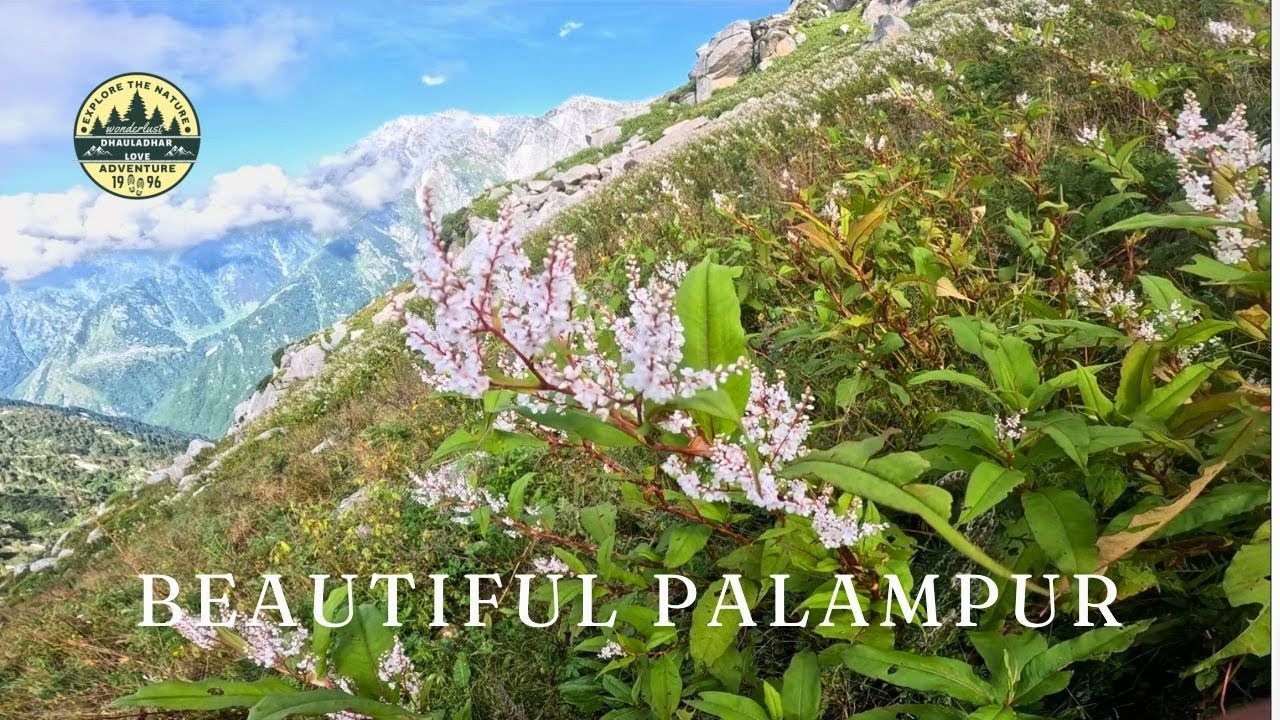 Beautiful Mountains of Palampur  Himachal Pradesh.