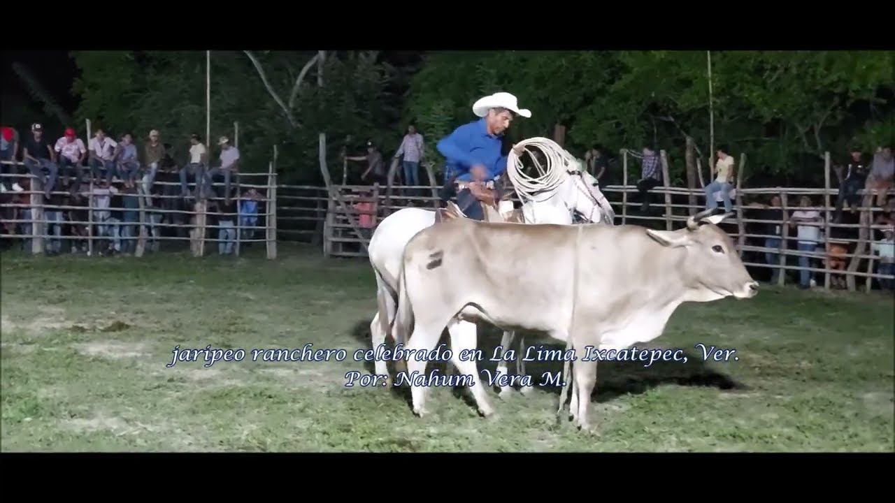 Jaripeo ranchero Celebrado en la Lima Ixcatepec, Ver 2023