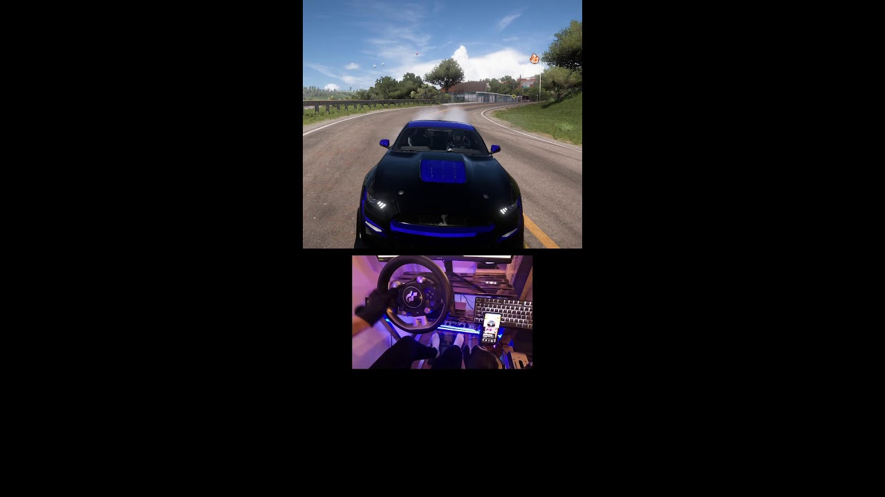 Forza Horizon 5 Live steering wheel