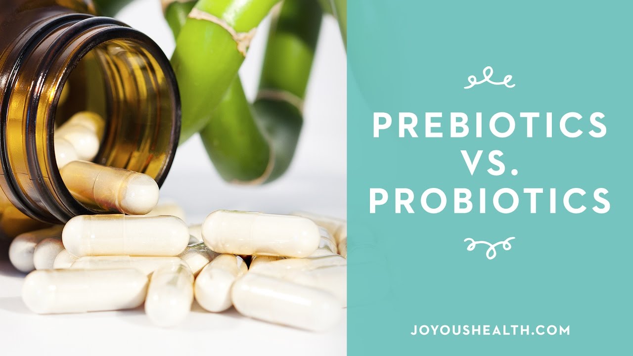 The DIFFERENCE between PREBIOTICS and PROBIOTICS