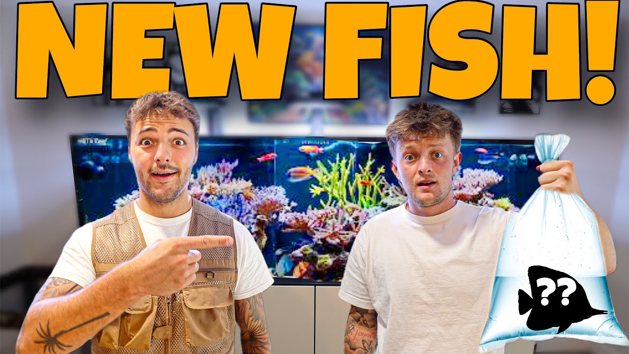 BUYING A NEW EXOTIC Fish FOR My BEST FRIEND!