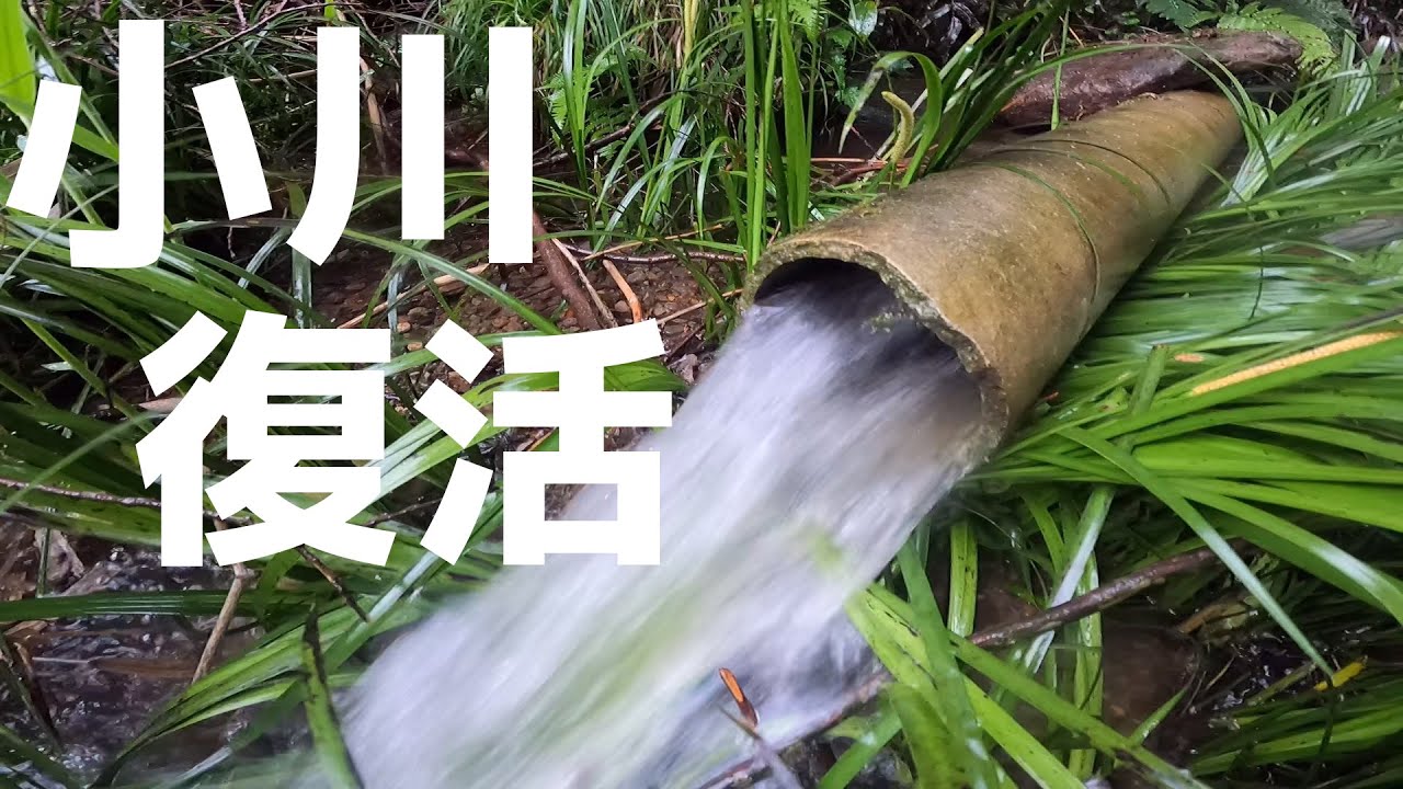 【米作り】自力で川から田んぼに水を引く！（後編）水稲栽培 兼業農家 農業 ポリパイプ 農業用水 山間部農業 継手 種まき rice farming