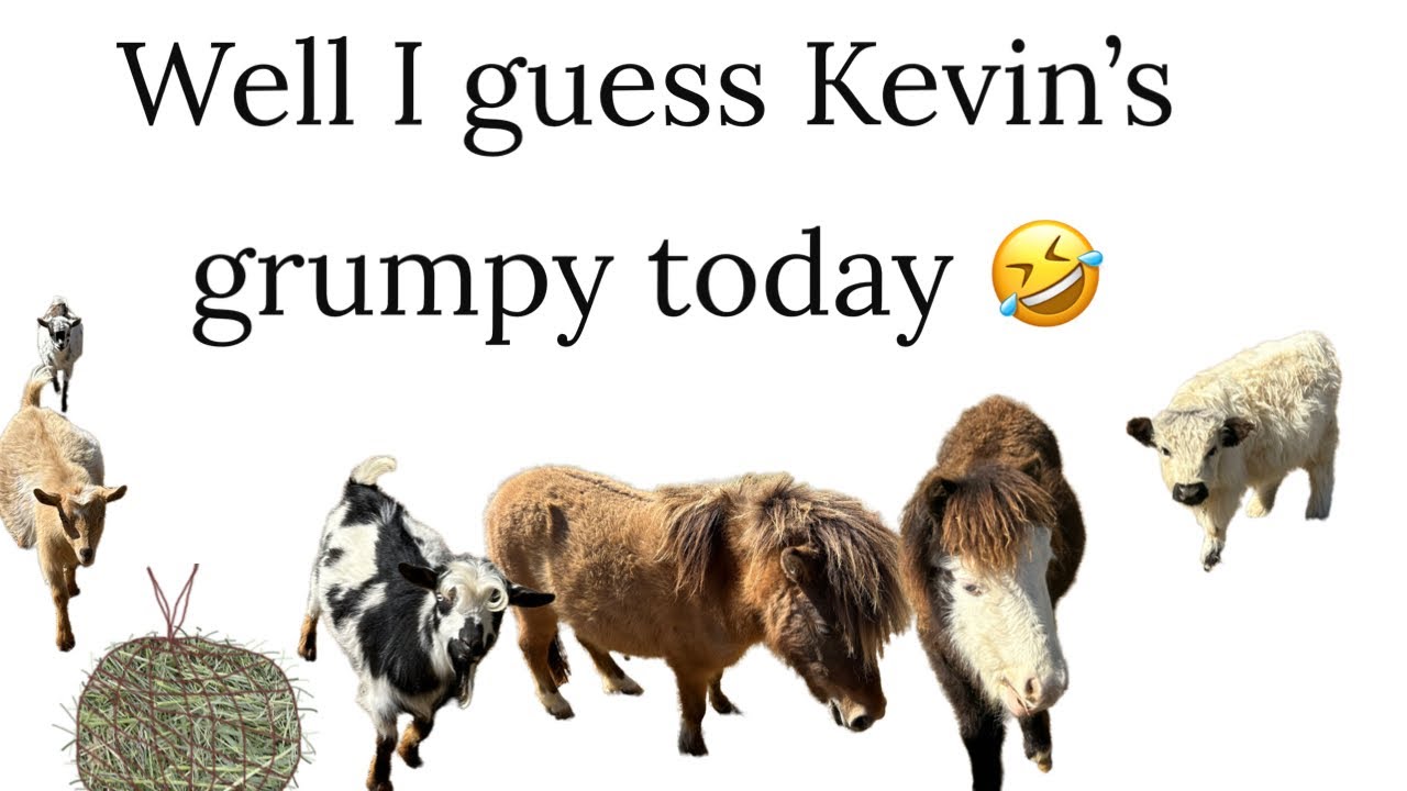 Farm chores with Kevin 🤣 #funny