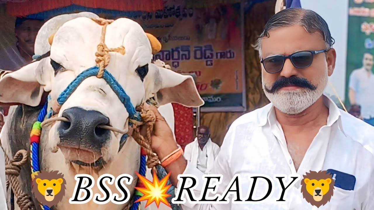 🦁వడ్లరామపురం 6,పళ్ళు విభాగం బో 2వ జత bss రెడ్డి