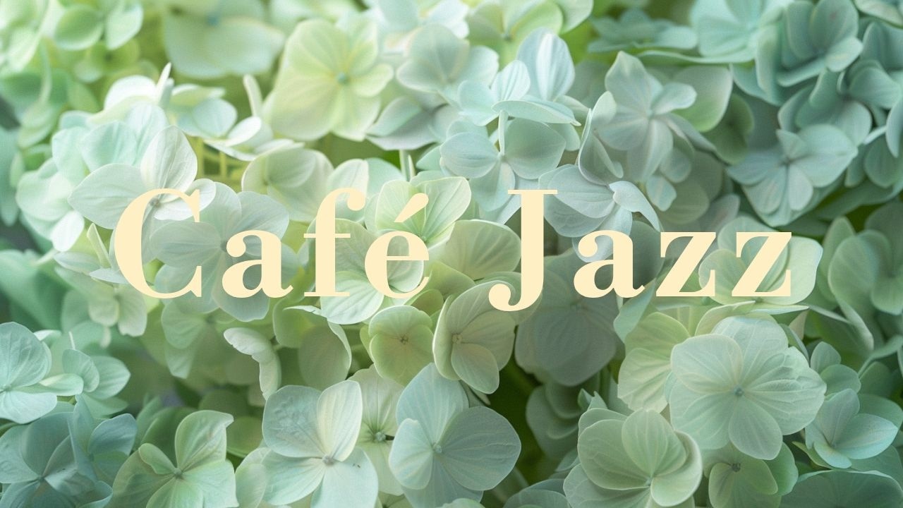 🎧Bossa nova jazz [playlist] | Ритм дает энергию и смелость для любых задач