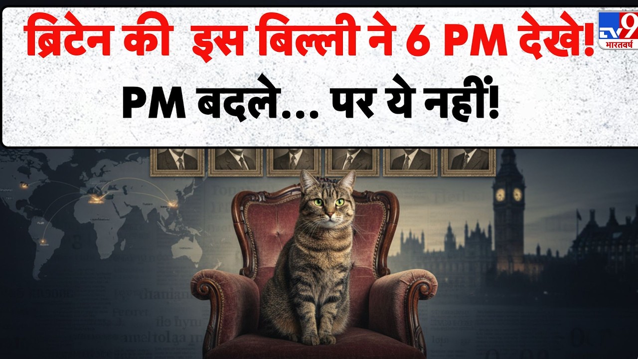 Larry the Cat 15 years Viral News: Britain की  इस बिल्ली ने 6 PM देखे!PM बदले… पर ये नहीं! - TV9