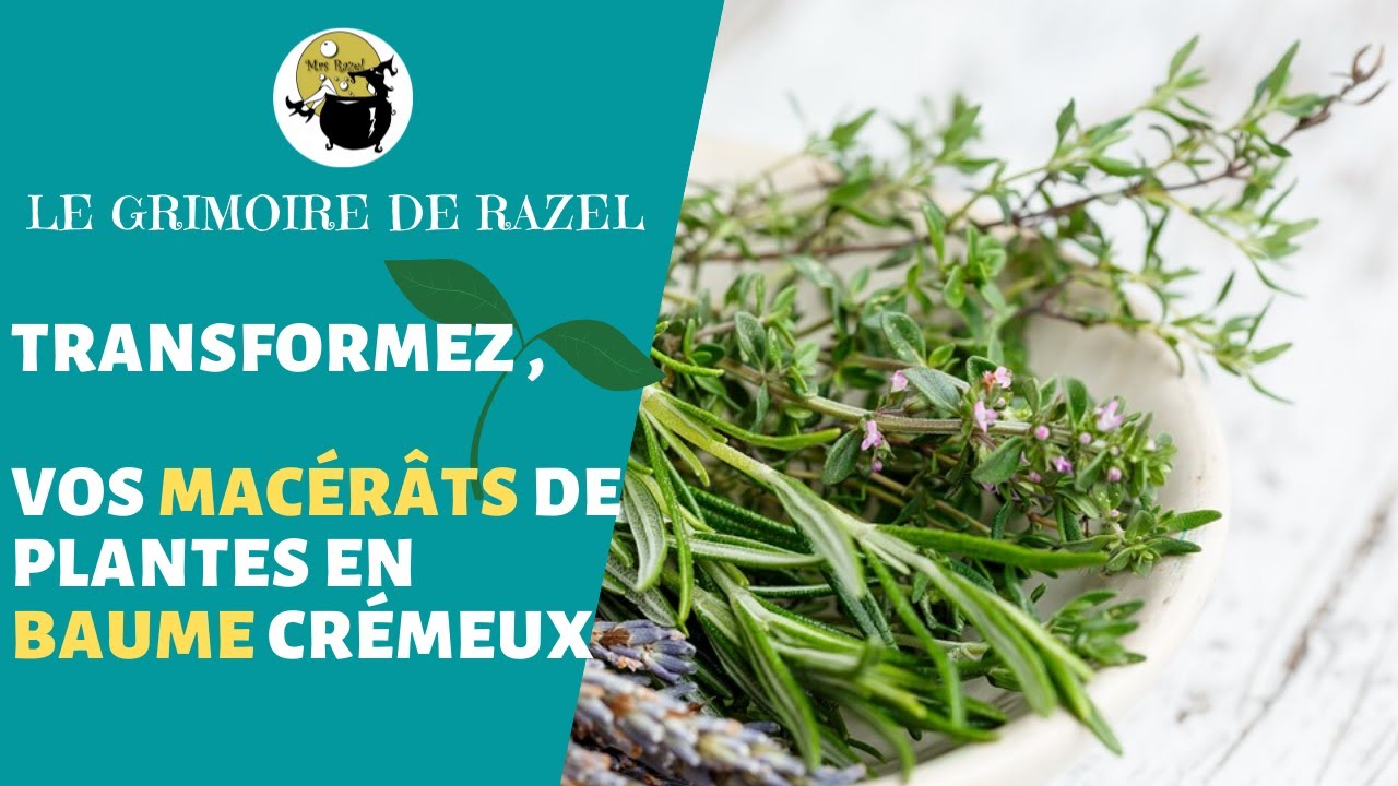 Comment transformer votre macérât de plantes en baume crémeux ?