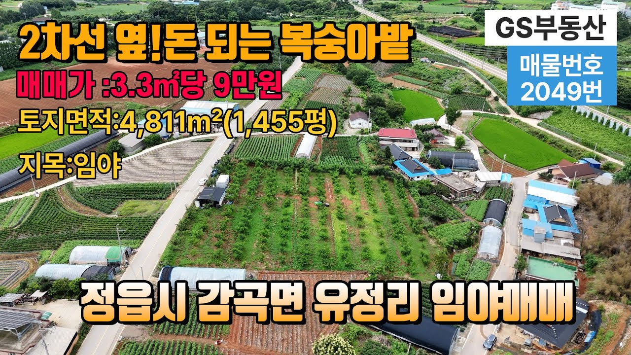 [정읍토지매매]전북특별자치도 정읍시 감곡면 유정리 토지매매 토지면적 4,811㎡ 약1,455평 (물건번호:2049번)정읍 부동산 정읍 귀농귀촌 주말농장급매매