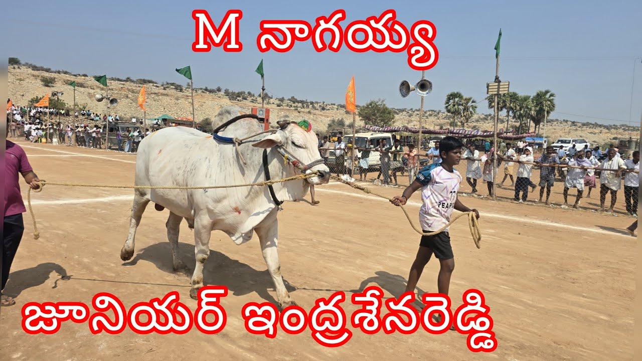 యాగంటి సీనియర్ విభాగంలో  7 M నాగయ్య గారు PR పల్లె గ్రామం 