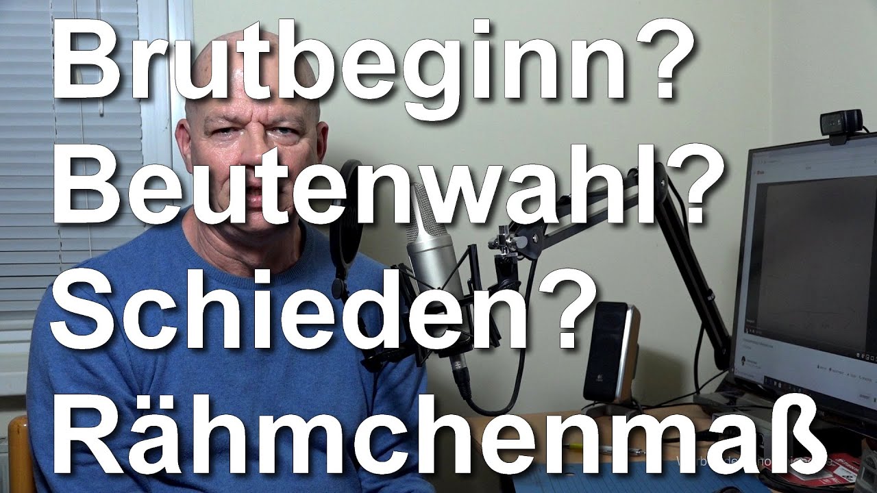 Video-Lob: Brutbeginn der Bienen, Nachschau und Schieden der V&ouml;lker, Beutenwahl, R&auml;hmchenma&szlig;