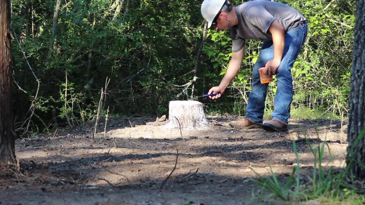 Tree Stump Removal - Nice Explosion  ⚠️ Not a how to video ⚠️