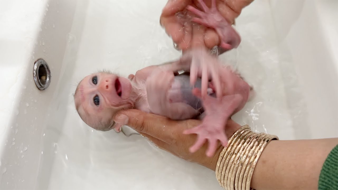 Poor Tiny Boy Look Scared During Mom Clean Him In Basin
