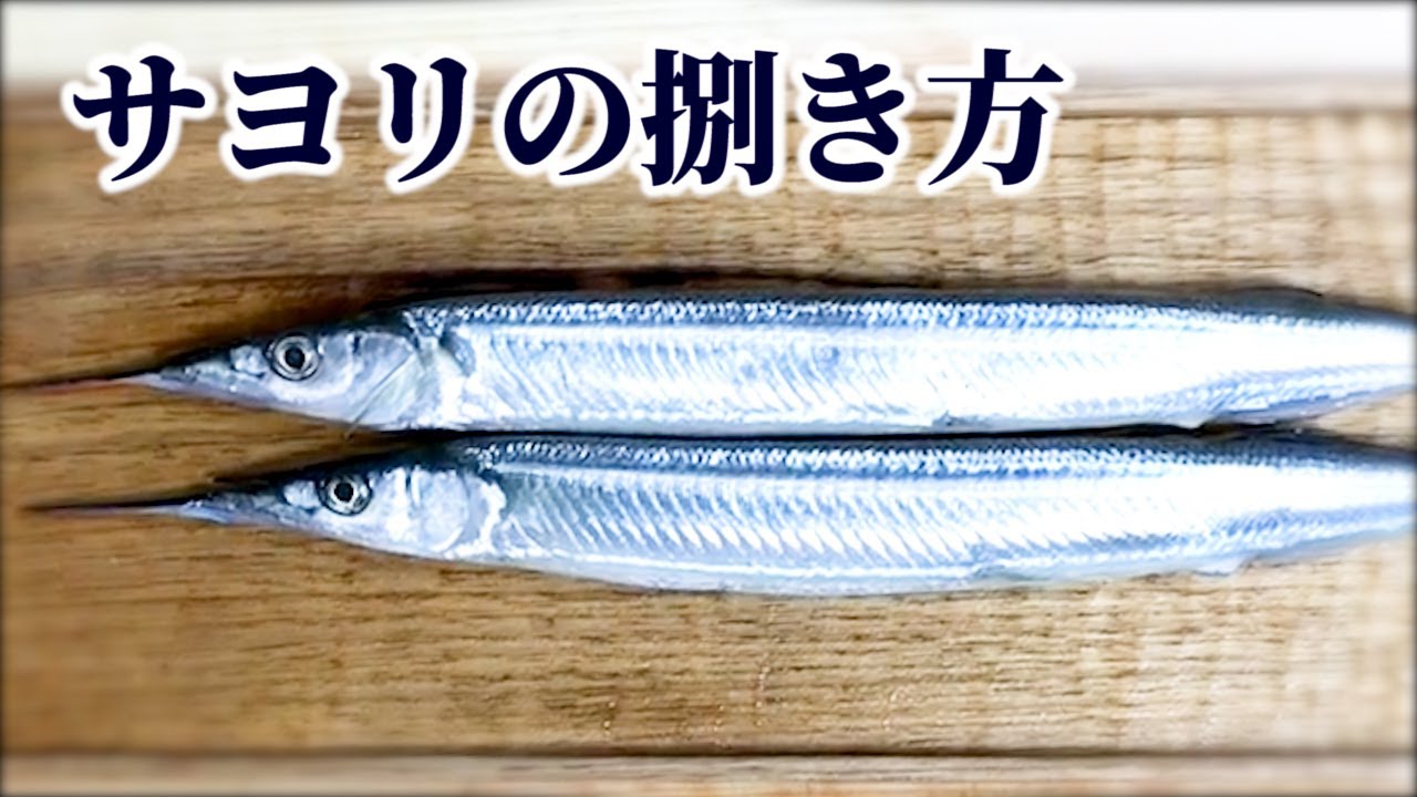 【サヨリの捌き方】刺身の作り方や切り方のコツを紹介！「腹黒い」の意味の由来となった魚？