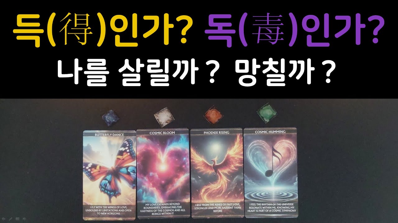 [타로] 💖 득인 줄 알았는데 독(毒)이었다니... 💔 지금 당장 확인해야 할 관계의 실체 💣 #타로 #타로카드 #타로리딩 #연애