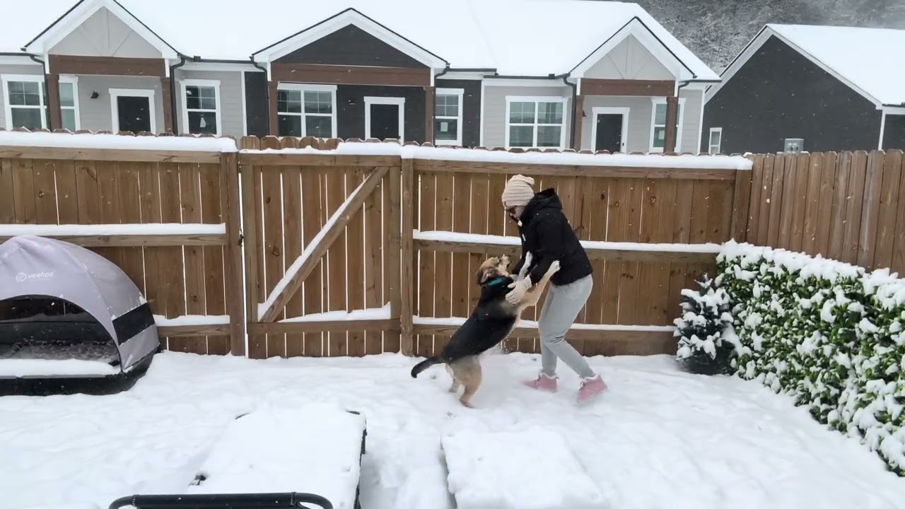 Newton loves the Snow 