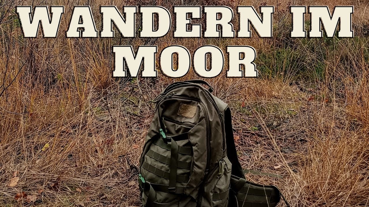 Wandern im Moor | Kalt, dunkel und matschig | Moorwanderung