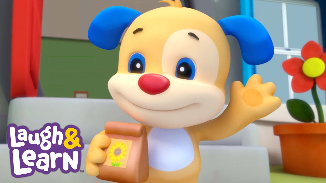 Sunflower Song - Laugh & Learn™ | 1+ hour of Kids' Learning Songs | Fisher-Price 1 Hour