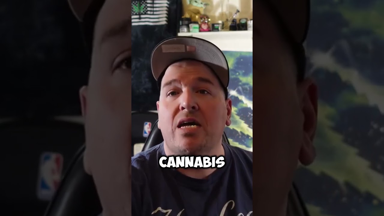 Legal Weed Prices EXPOSED in 60 Seconds 🧠💨