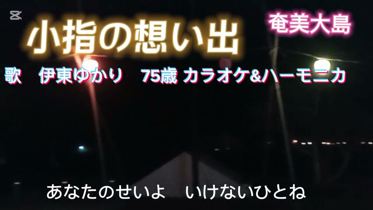 小指の想い出📏🎶(231)歌詞付き/伊東ゆかり/カラオケ&ハーモニカ/