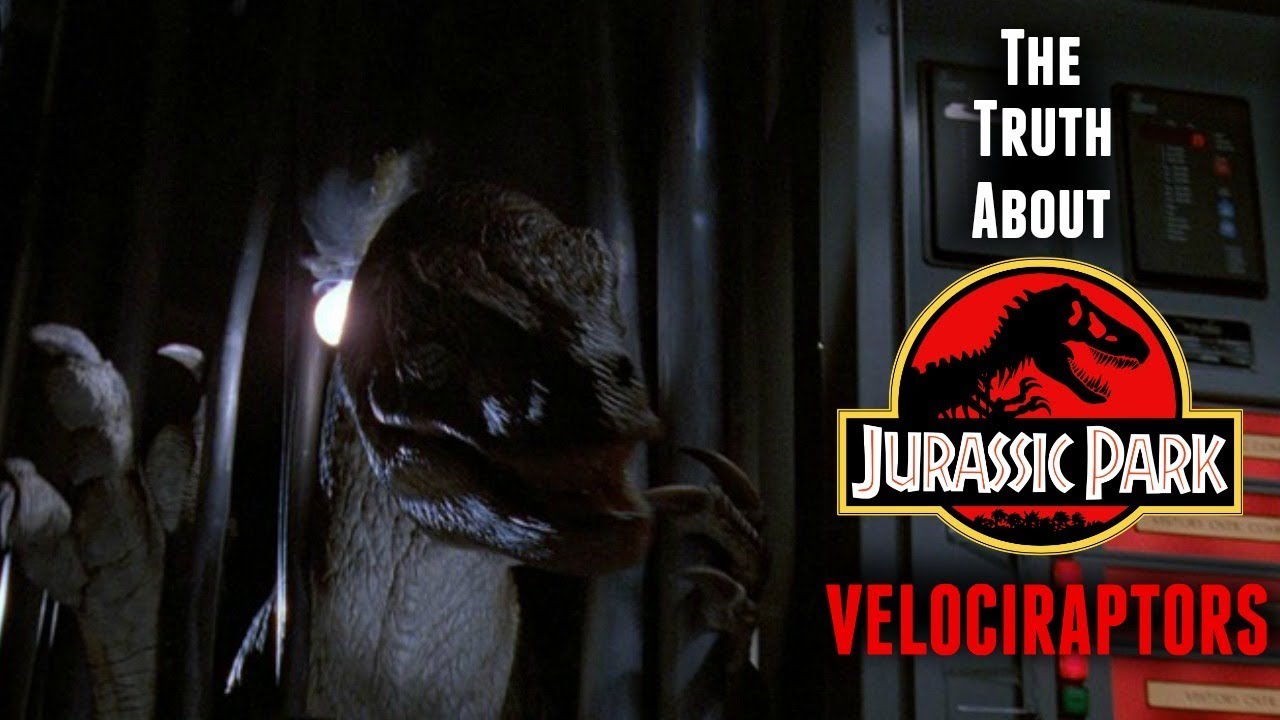 The Truth About Jurassic Park's Velociraptors - 
