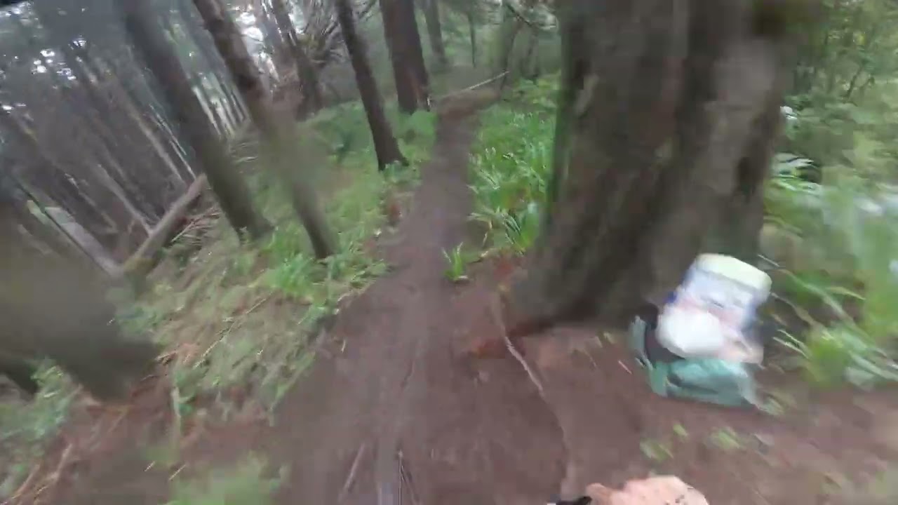 Trans Madeira Autumn 2025 - Stage 6 - Purple Rain