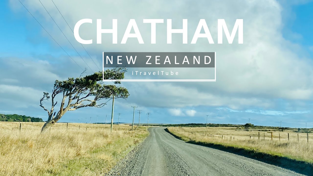 Stunning Chatham Islands - The Eastern-most emergent part of Zealandia || Iphone 11 4K