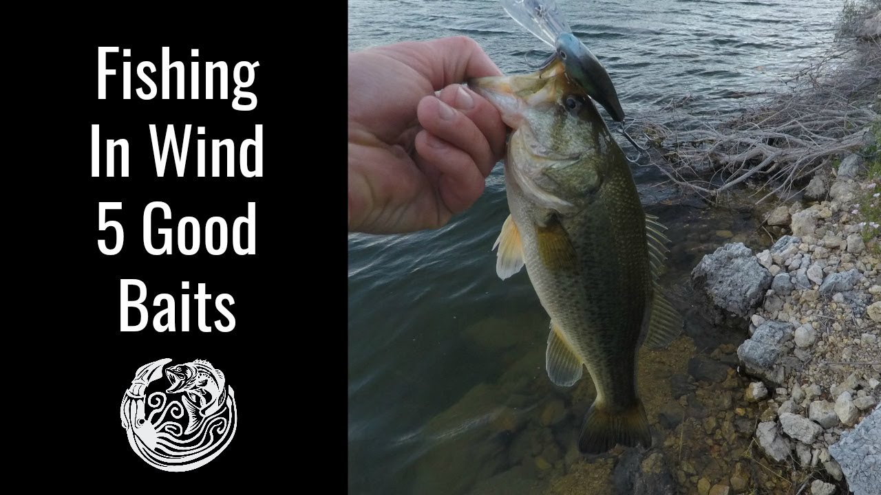 Fishing in Wind - 5 Good Baits to Catch Bass!
