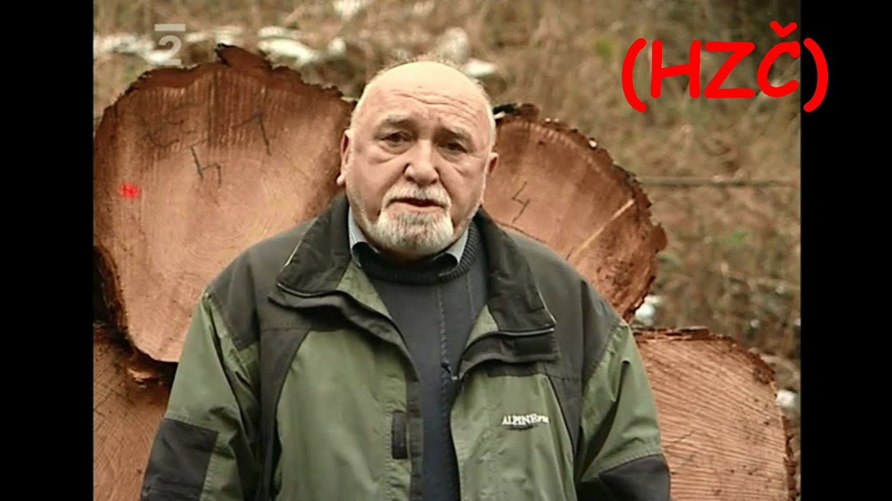 Hledání ztraceného času :: Dřevo v pohybu