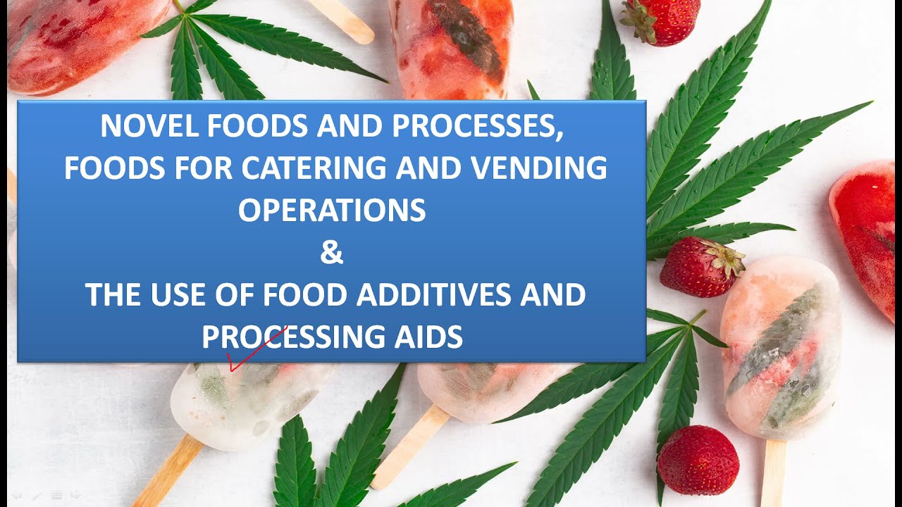 Lecture 30  NOVEL FOODS AND PROCESSES and FOODS FOR CATERING AND VENDING OPERATIONS and THE USE O