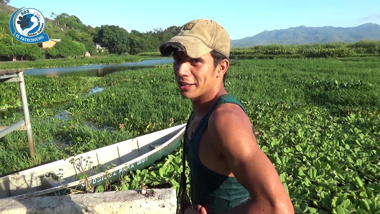 Jonathan pescando en la Laguna de El Jocotal El Salvador | pata de chucho