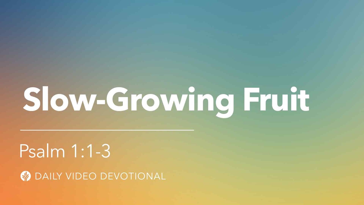 Slow-Growing Fruit | Psalm 1:1-3 | Our Daily Bread Video Devotional