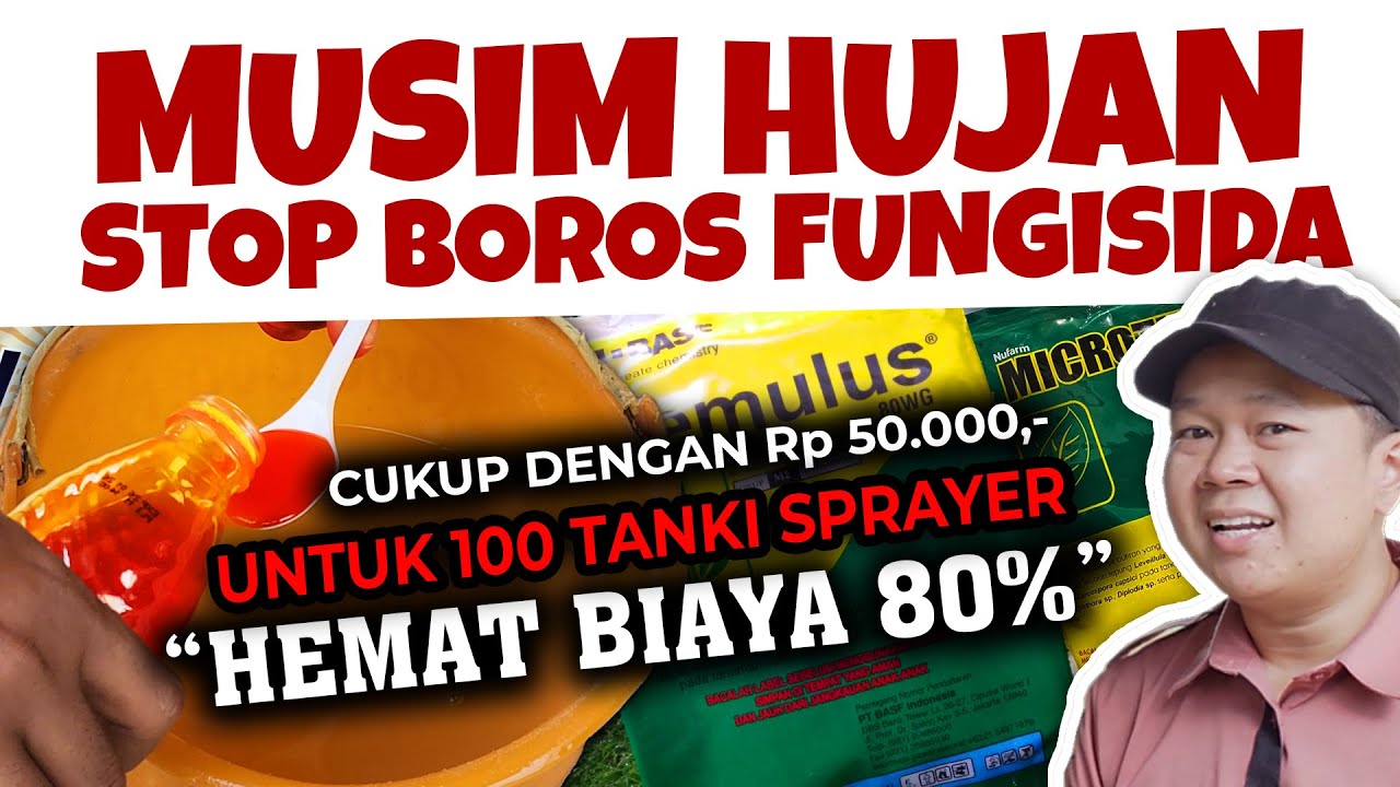 STOP BOROS FUNGISIDA.❗❗❗ BUSUK BATANG, BERCAK DAUN, BUSUK RANTING, CEGAH CUKUP DENGAN RP 50.000.