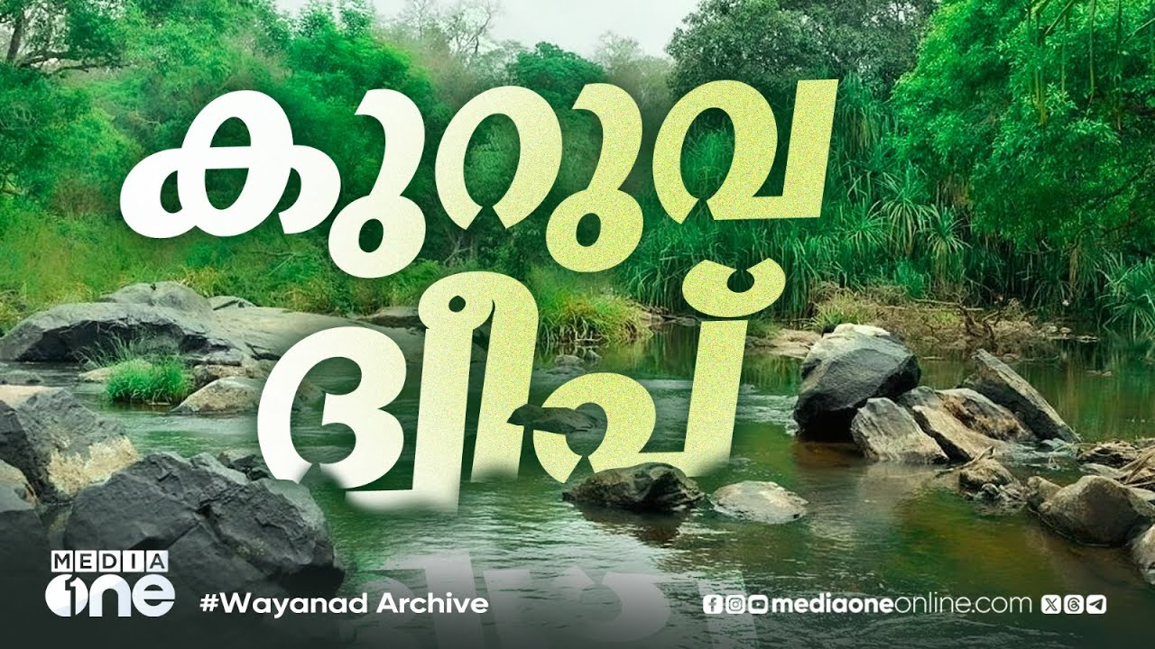വയനാട് കുറുവ ദ്വീപ്; വിനോദ സഞ്ചാരികളുടെ ഇഷ്ട കേന്ദ്രം Kuruva Island | Kabani | Wayanad Archives