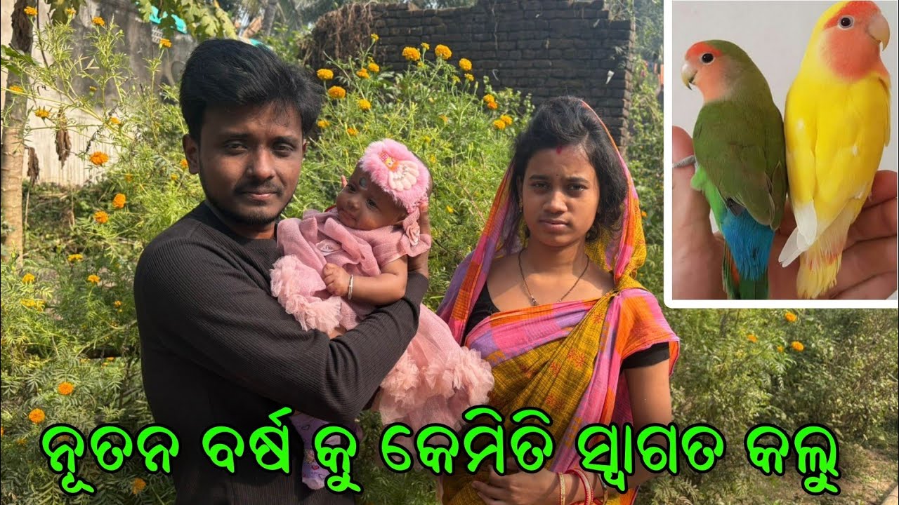 ନୂତନ ବର୍ଷ କୁ ଅଭିନନ୍ଦନ 😄||Birds Vlogs