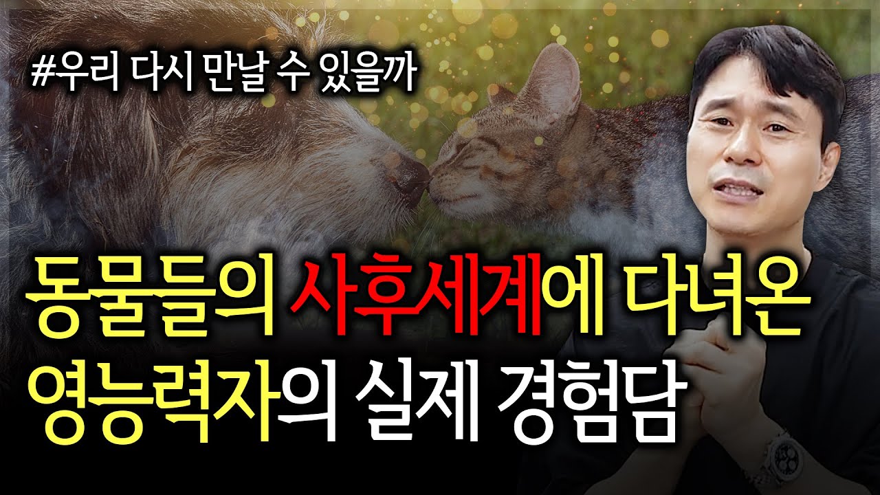 먼저 떠난 반려동물은 사후세계에서 당신을 기다리고 있다 | 동물들의 사후세계에 다녀온 영능력자의 실제 체험담 (영적 스승이 알려준 반려동물의 사후세계 이야기)
