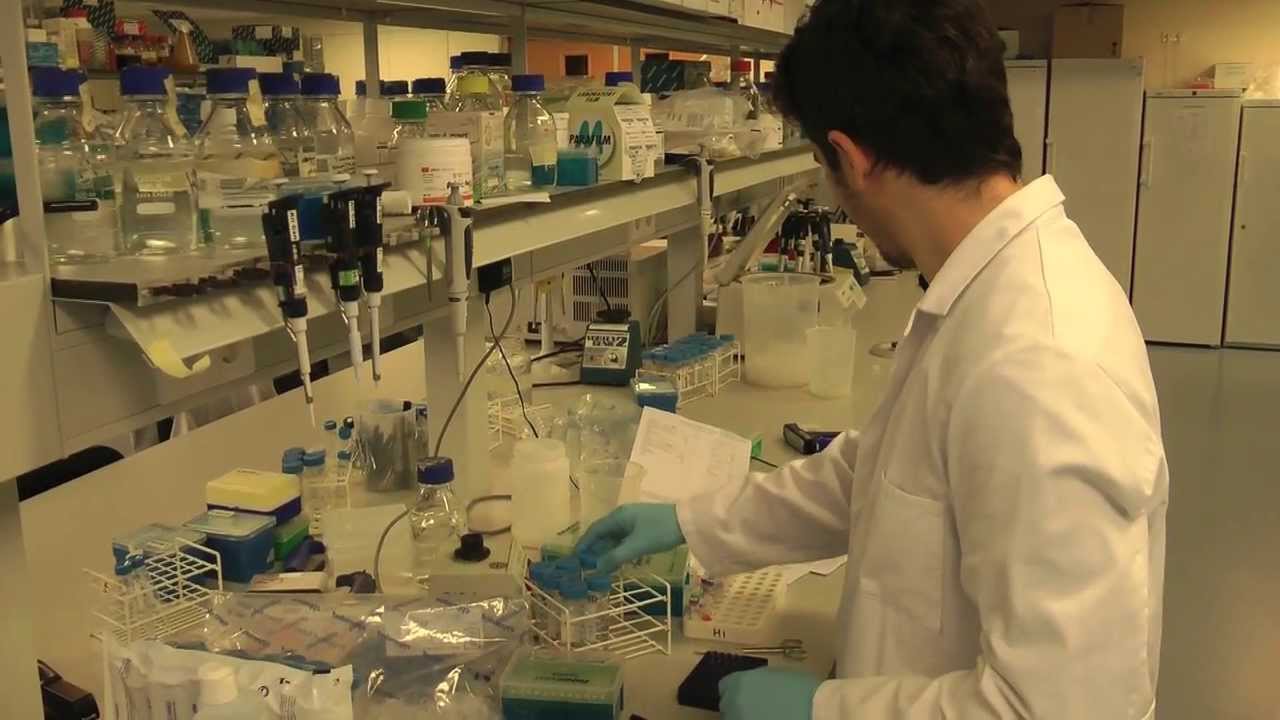 Wat is immunotherapie?