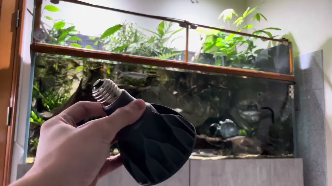 Helios Aqua RGBについて【製品レビュー】【水槽用LED】
