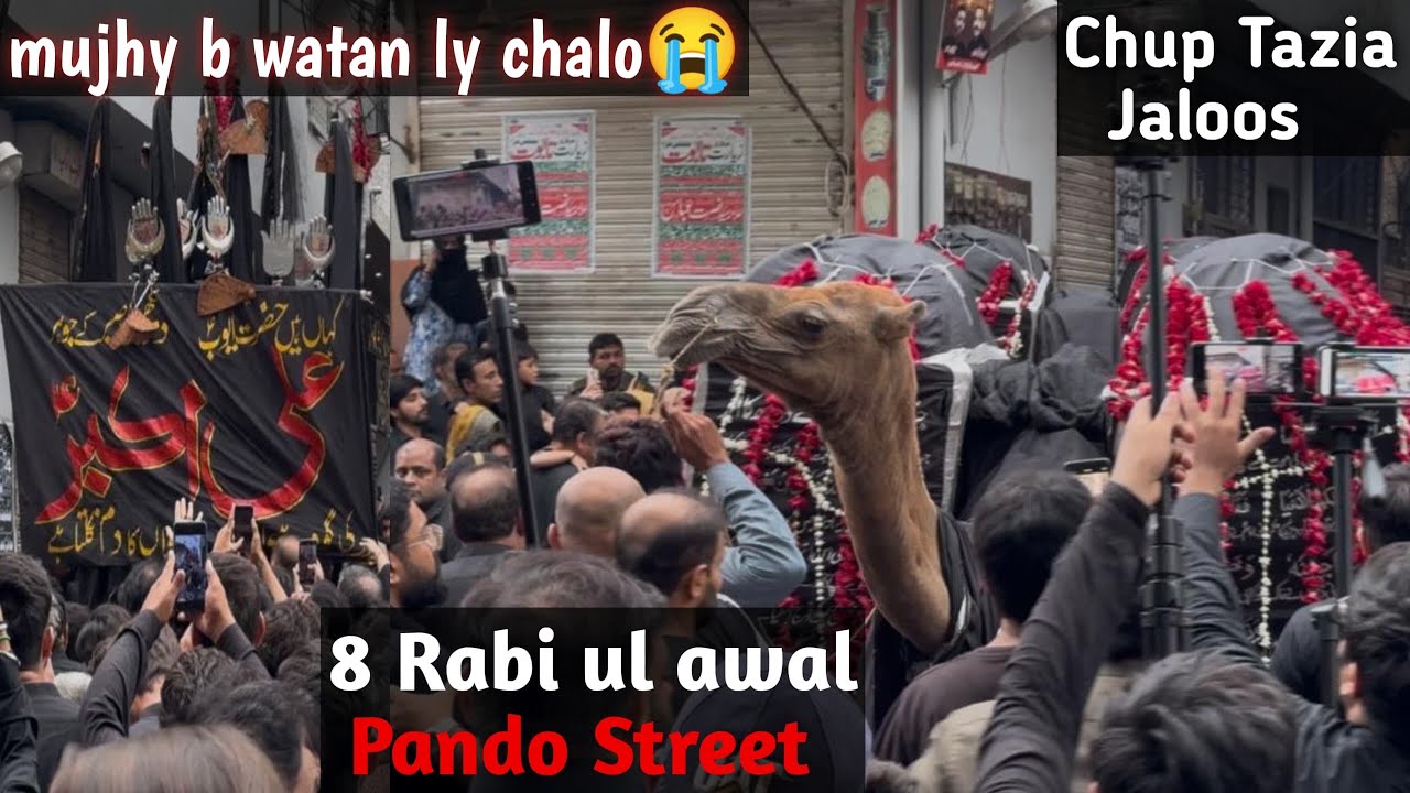 8 rabi-ul-awal chup tazia jaloos pando street 2025| Mujhy b watan ly chalo 😭😭