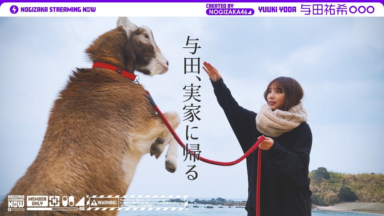 【vlog】与田祐希が福岡へ帰省！前編【実家】