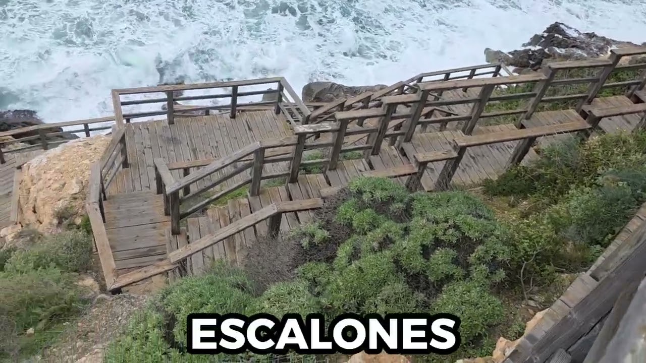 5 de febrero de 2026