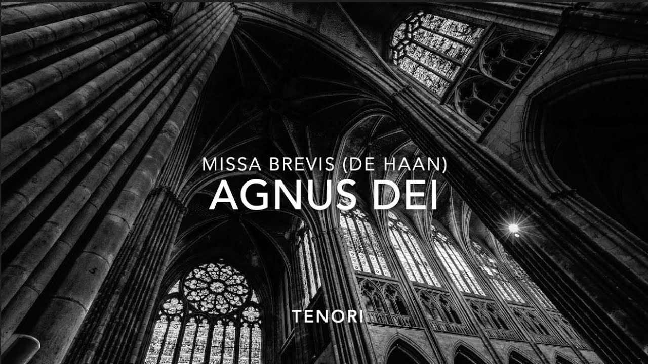 AGNUS DEI | TENORI | Missa Brevis (De Haan) Base musicale