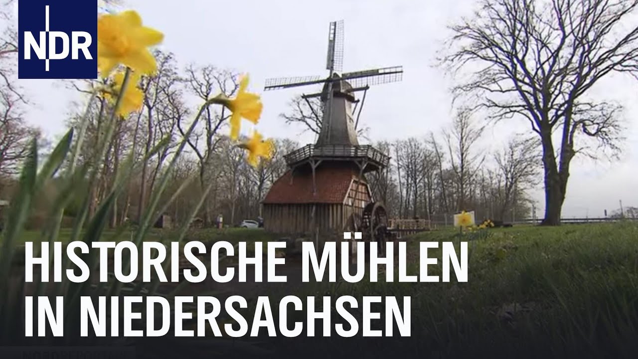 Neues Leben für alte Mühlen | Die Nordreportage | NDR Doku
