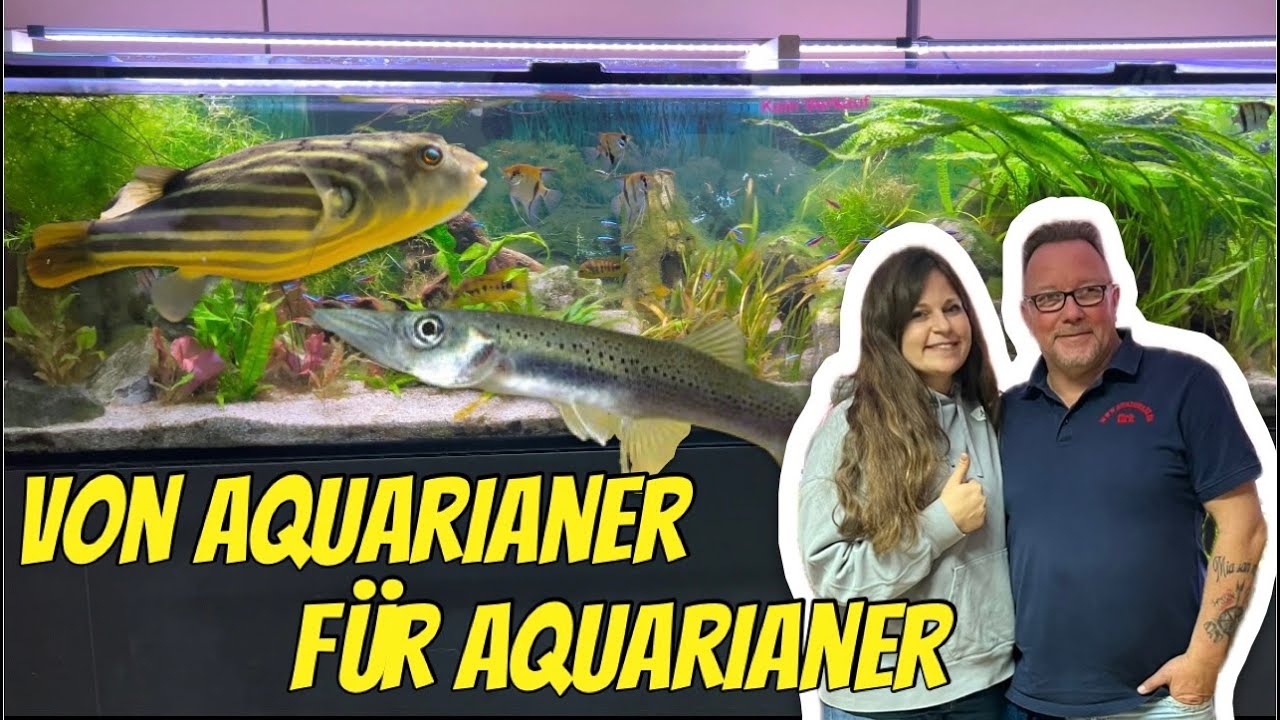 Ich besuche den AMAZONAS 73 EV AQUARIUMVEREIN: Nachhaltigkeit, Jugendförderung, Zucht & viel mehr!