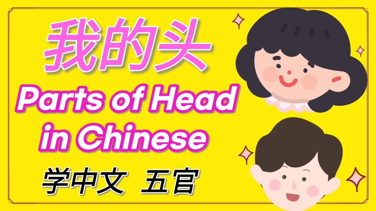 学中文-我的头 | Parts of Head in Mandarin Chinese | 汉语-五官 | Vocabulary & Sentences of My Head in Chinese