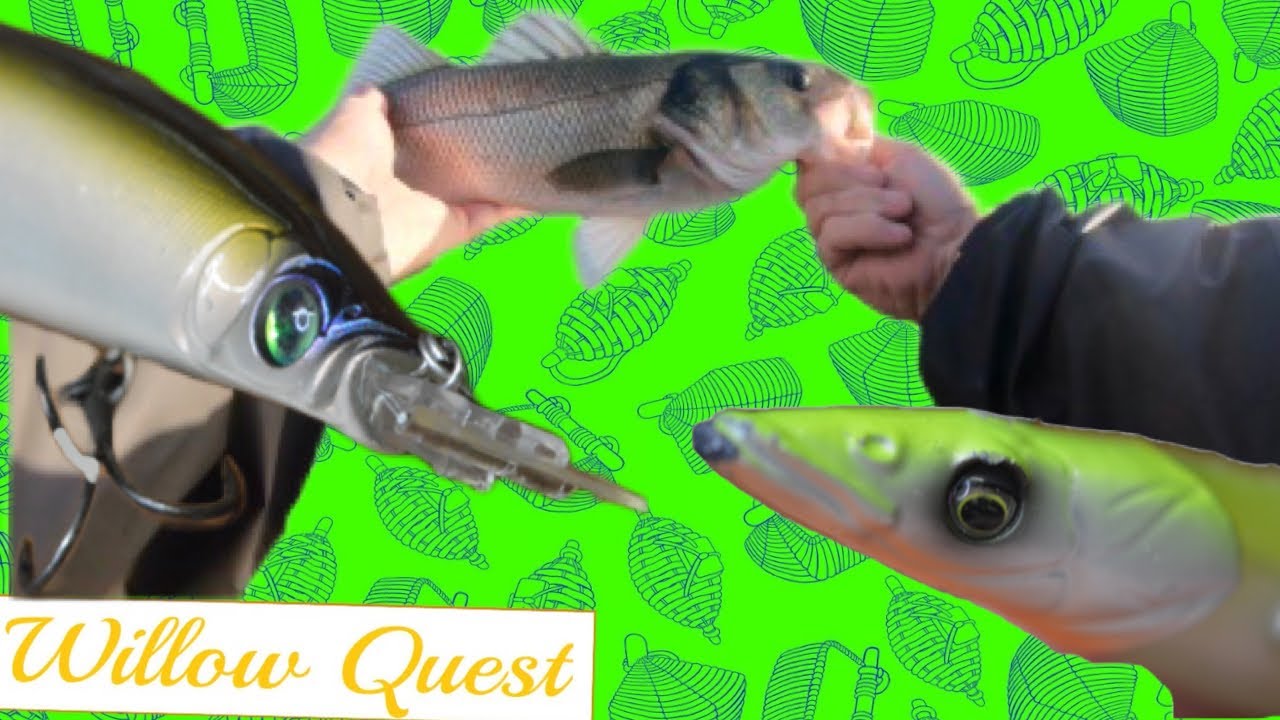 2 Top Bass Lures. Catching autumn bass with the Megabass Zonk Gataride and Savage Gear V2