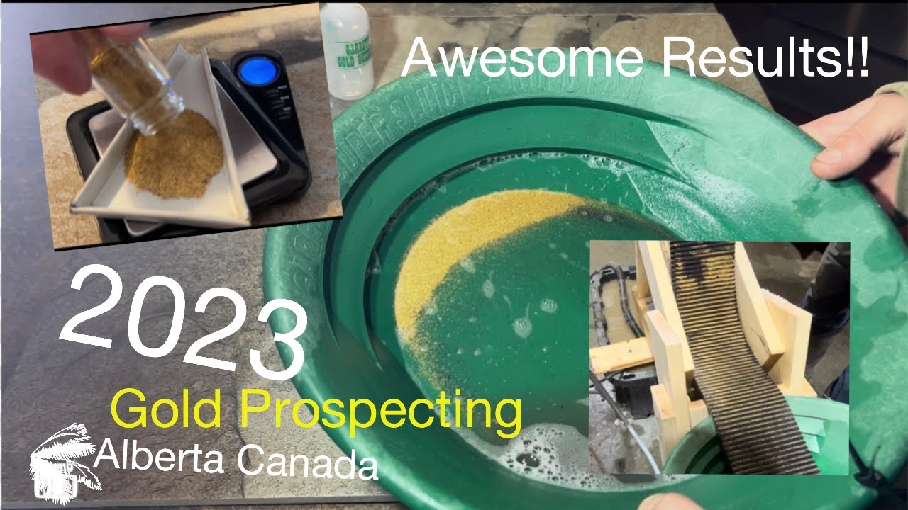 One Year Prospecting Alberta Flour Gold Results