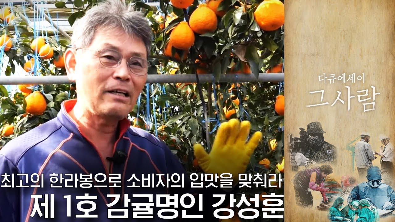 땀과 집념으로 연 소득 억대의 한라봉 농사🍊 성공 신화를 이루다! 제 1호 감귤명인 강성훈 | 다큐에세이 그 사람 | 03월 06일