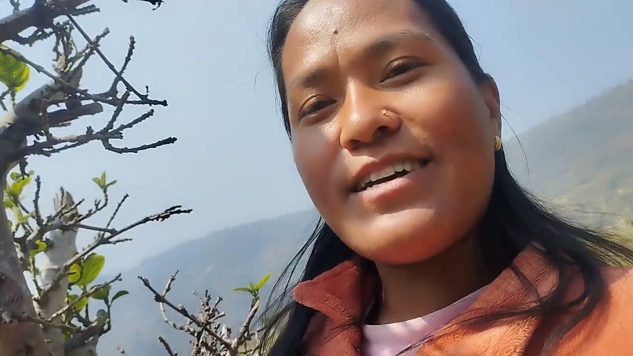 लु है साथिहरु आलु चाहिय मा सम्पक गर्नुस है