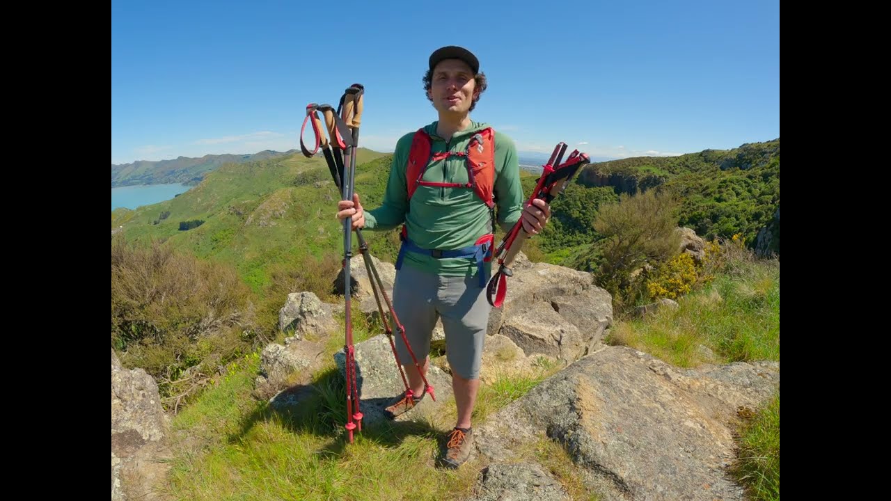 Black Diamond Pursuit Trekking Poles | Nick Allen