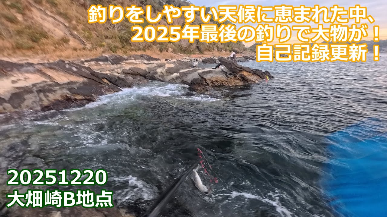 【夜釣り×水中映像】大畑崎B地点で73cmボラとの激闘！夜明けの強烈ファイトを制す｜三浦半島大畑崎｜2025年12月20日